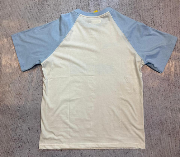 Remera Native Blanca con mangas Celeste - 3 CUOTAS SIN INTERES - 121 - Image 2